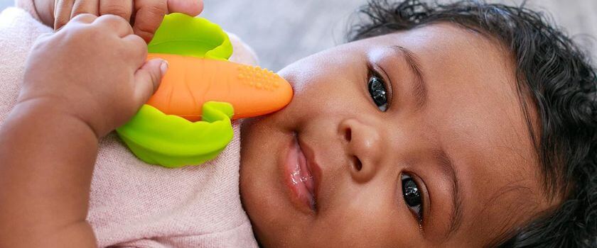 Infantino_Lil'_Nibble_Teethers_carrot