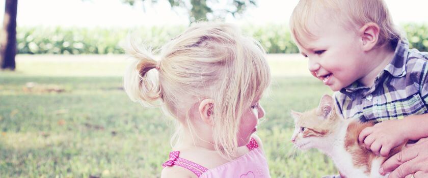 little_babies_playing_with_cat