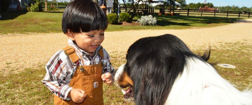 baby_playing_with_dog